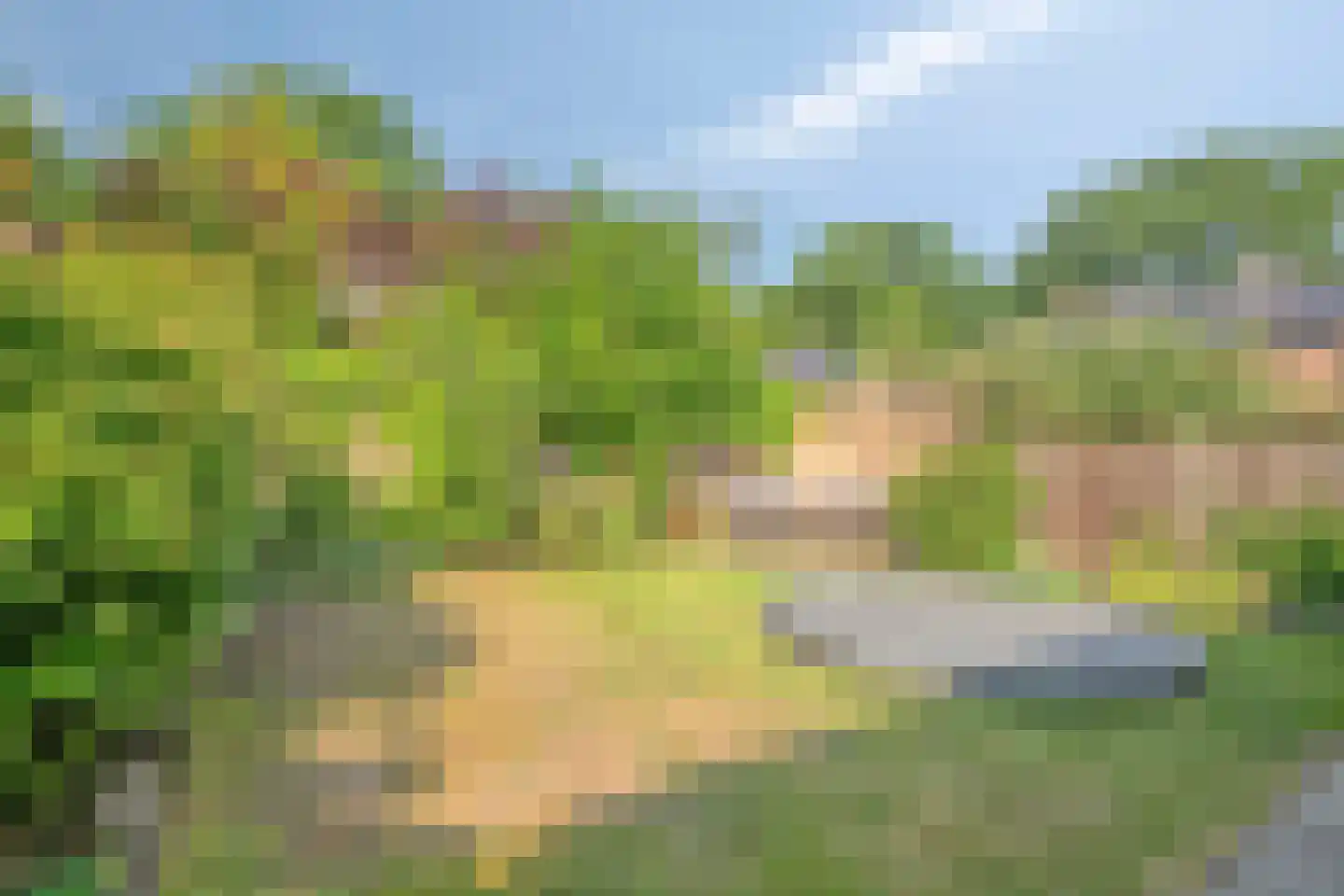Steltlopen 8 Best thumbnail 41