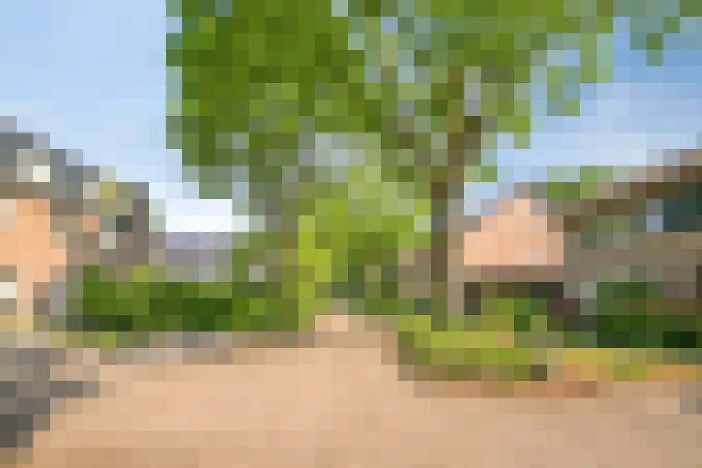 Steltlopen 8 Best thumbnail 44