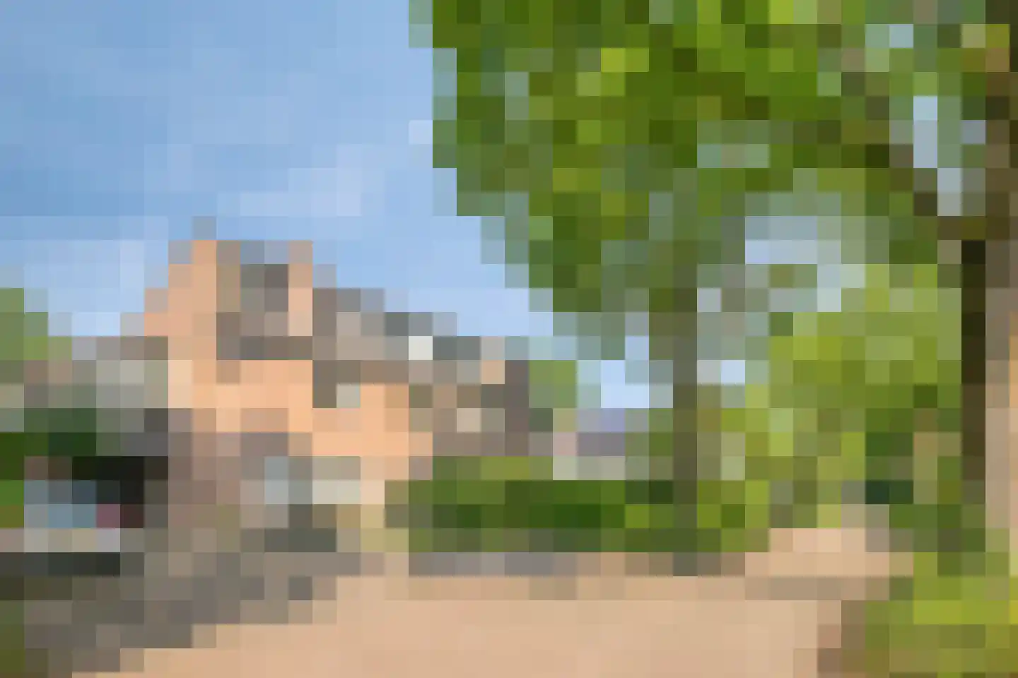 Steltlopen 8 Best thumbnail 5