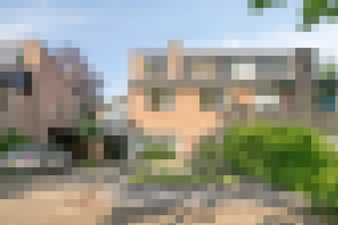Steltlopen 8 Best thumbnail 6