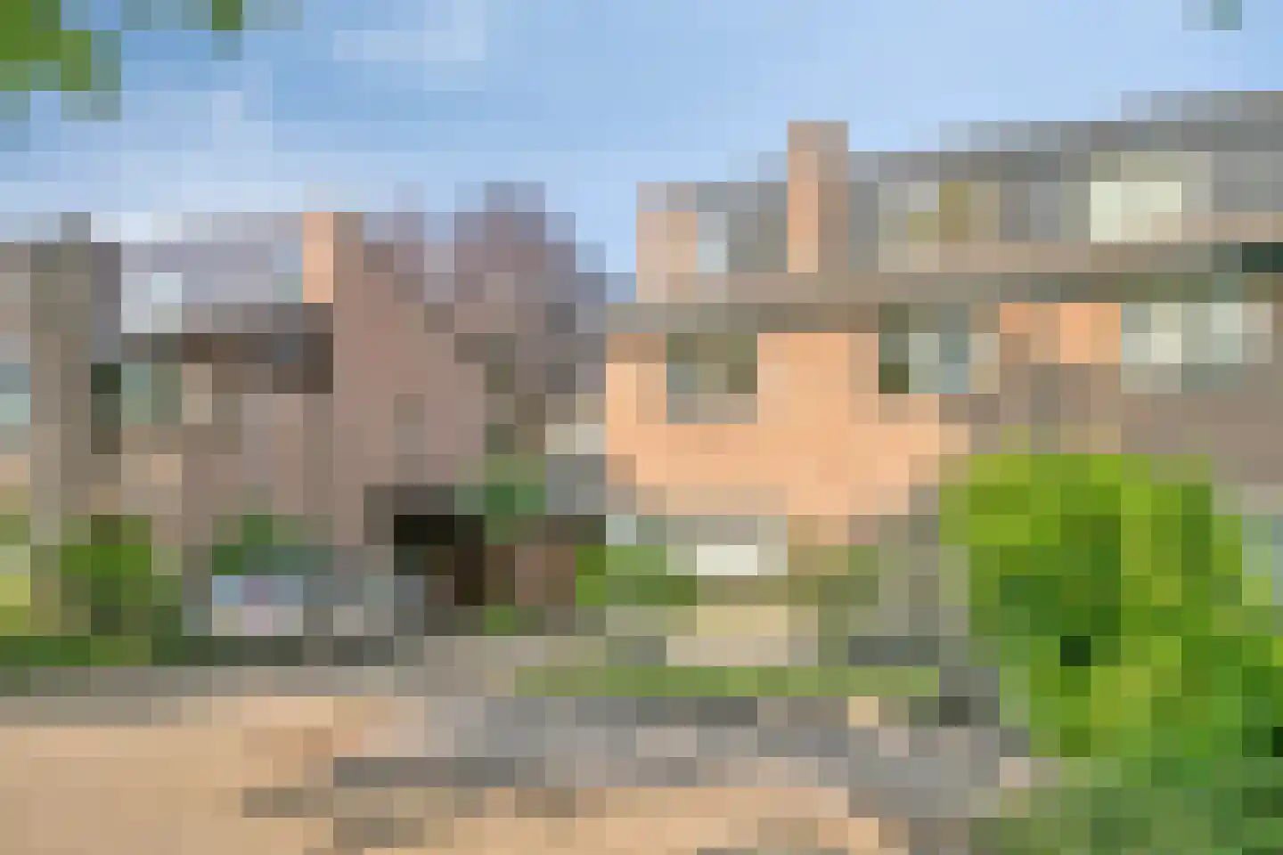 Steltlopen 8 Best thumbnail 7