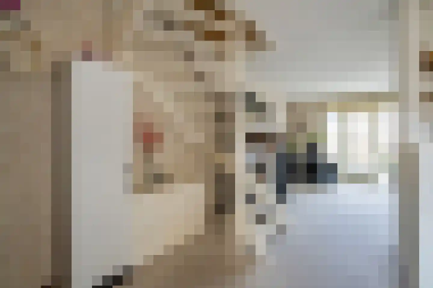 Steltloperstraat 25 Delft thumbnail 10