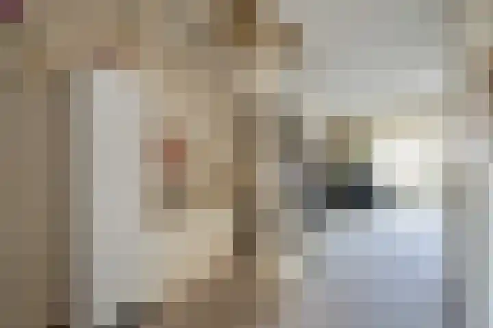Steltloperstraat 25 Delft thumbnail 10
