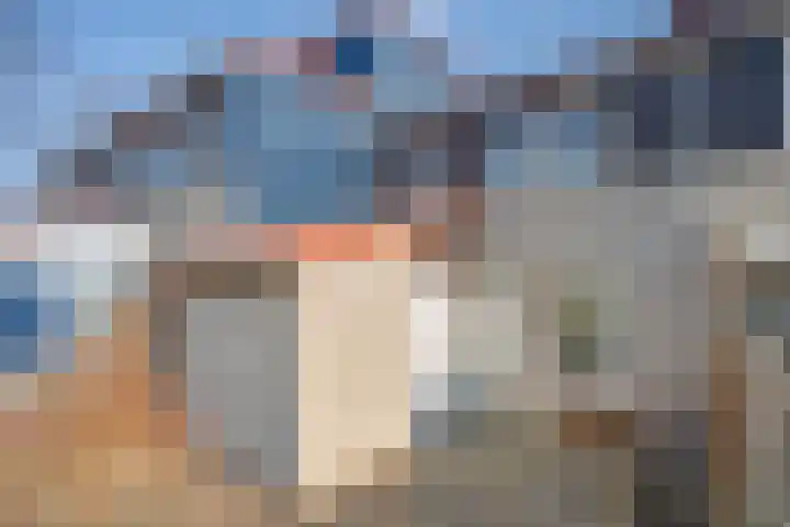 Steltloperstraat 25 Delft thumbnail 5