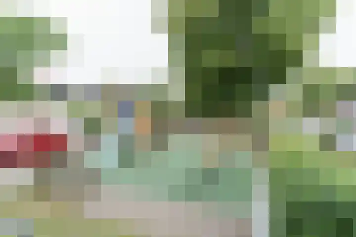 Steltloperstraat 37 Delft thumbnail 31