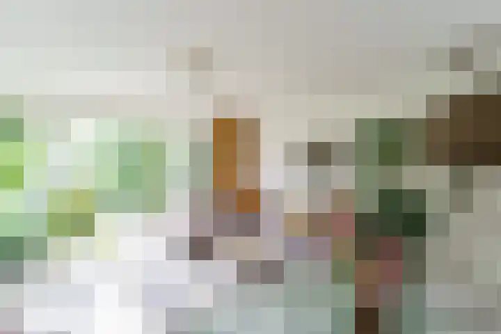 Steltloperstraat 37 Delft thumbnail 9