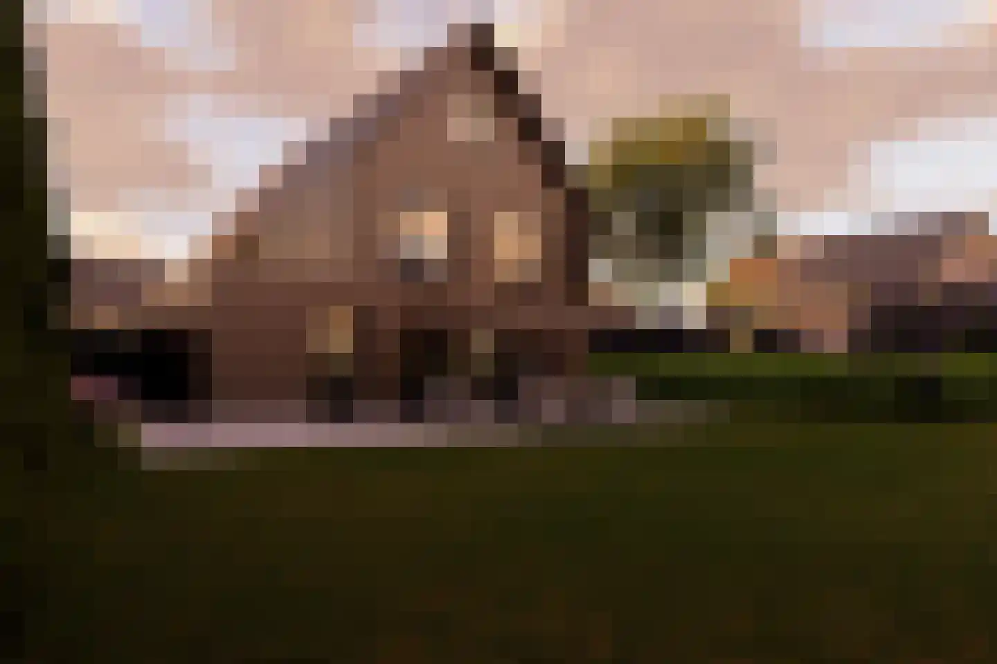 Steltsestraat 113 Lent thumbnail 18