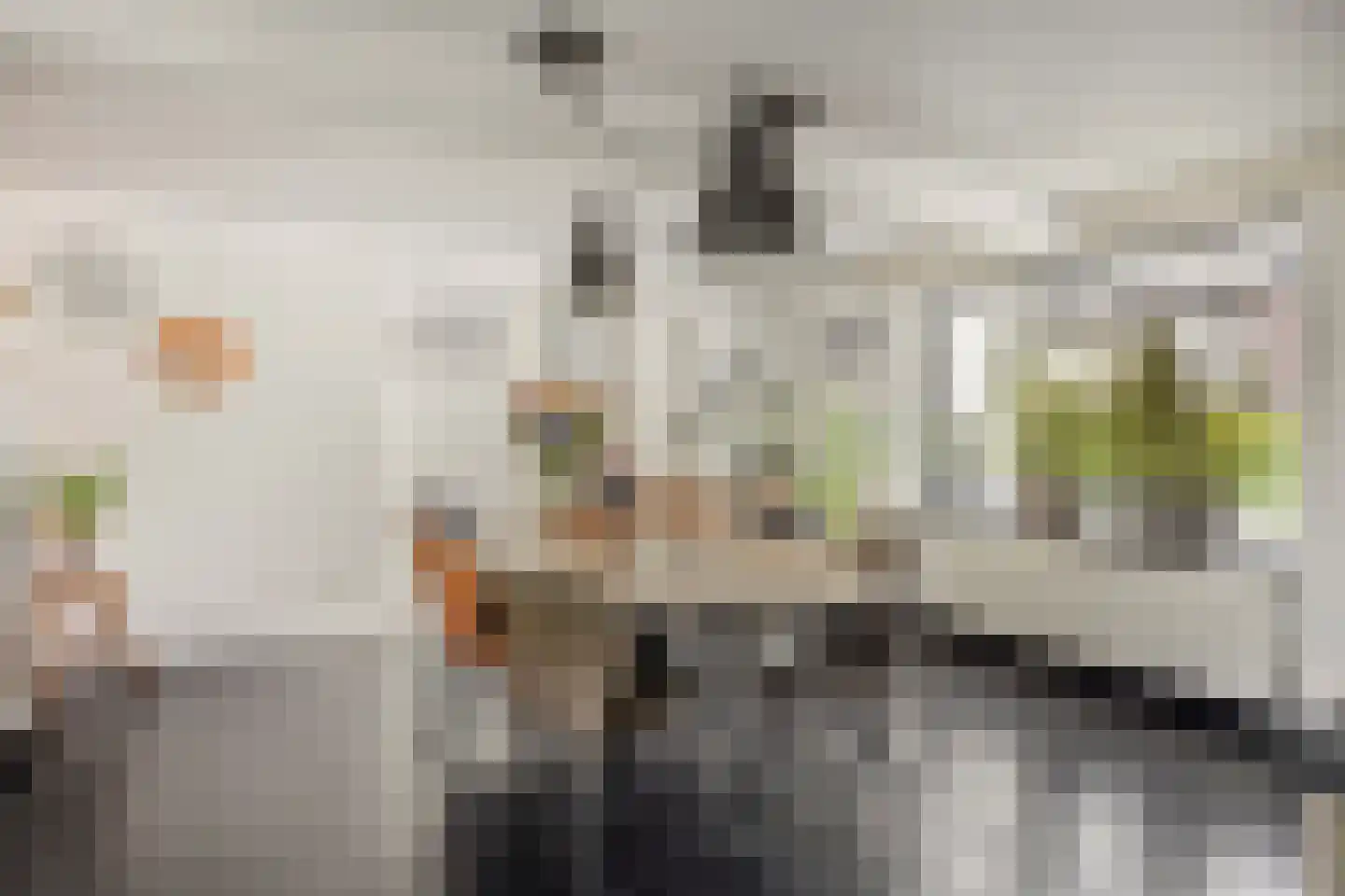 Steltsestraat 28 Lent thumbnail 10