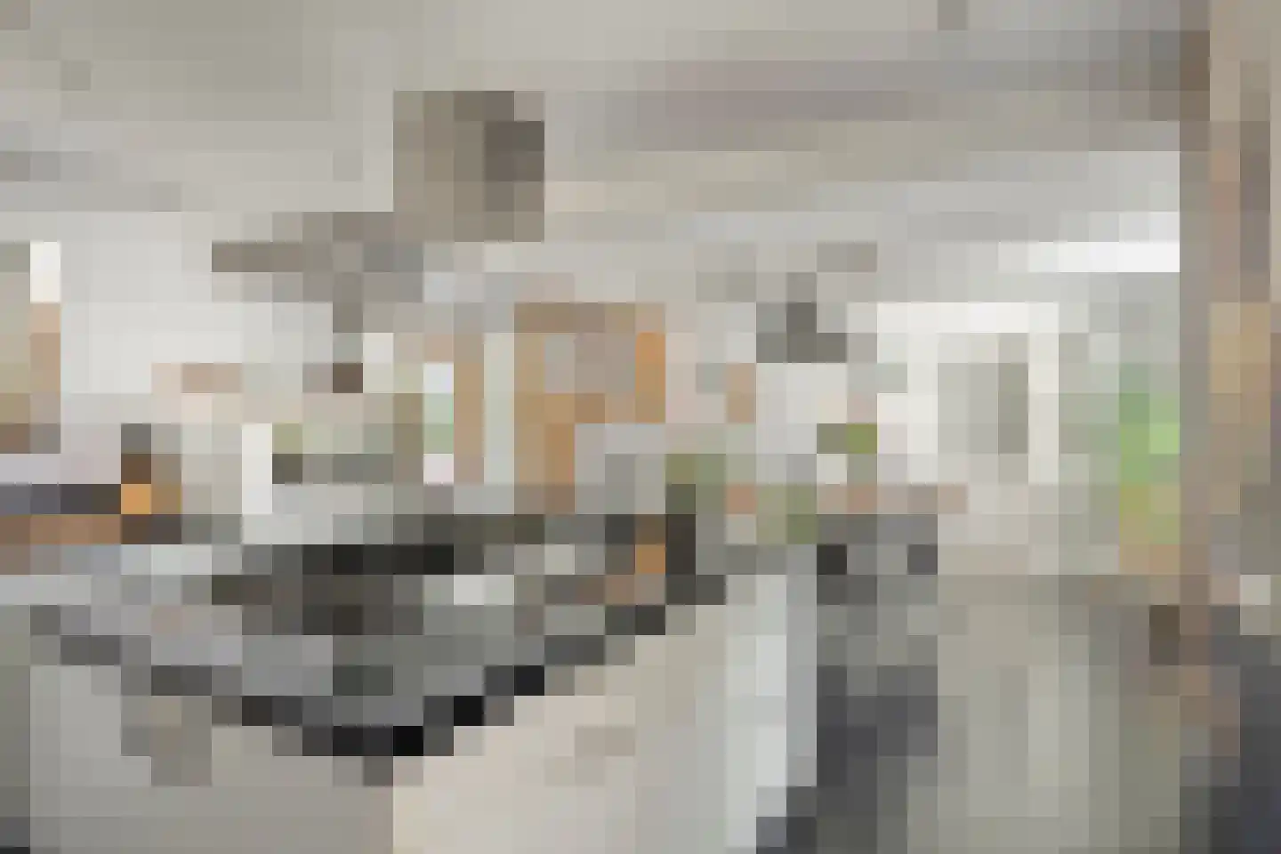 Steltsestraat 28 Lent thumbnail 8