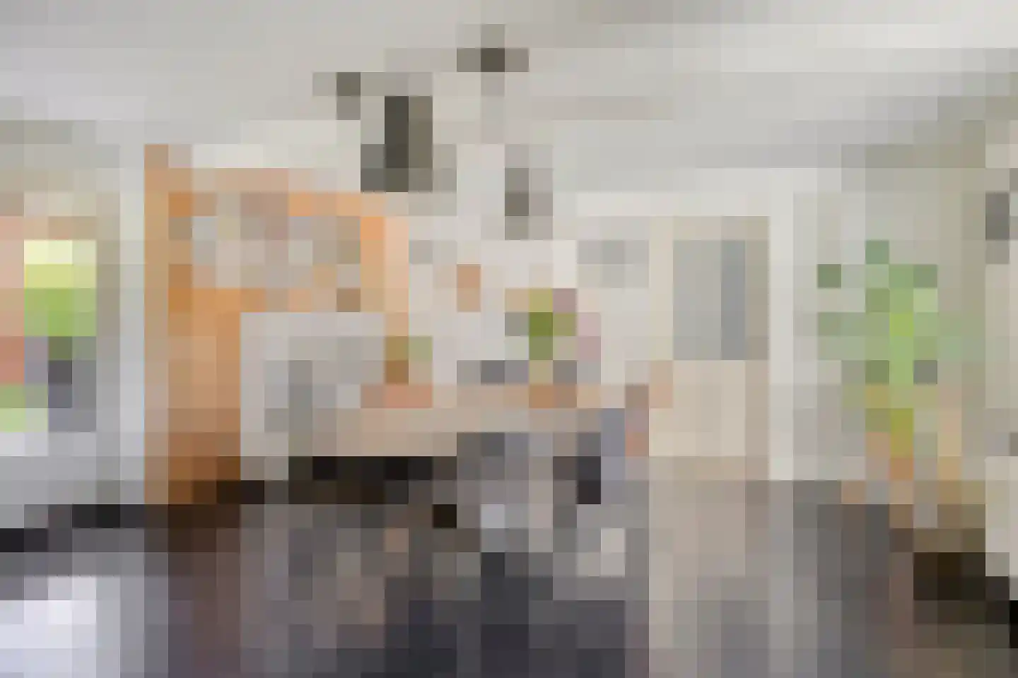Steltsestraat 28 Lent thumbnail 9