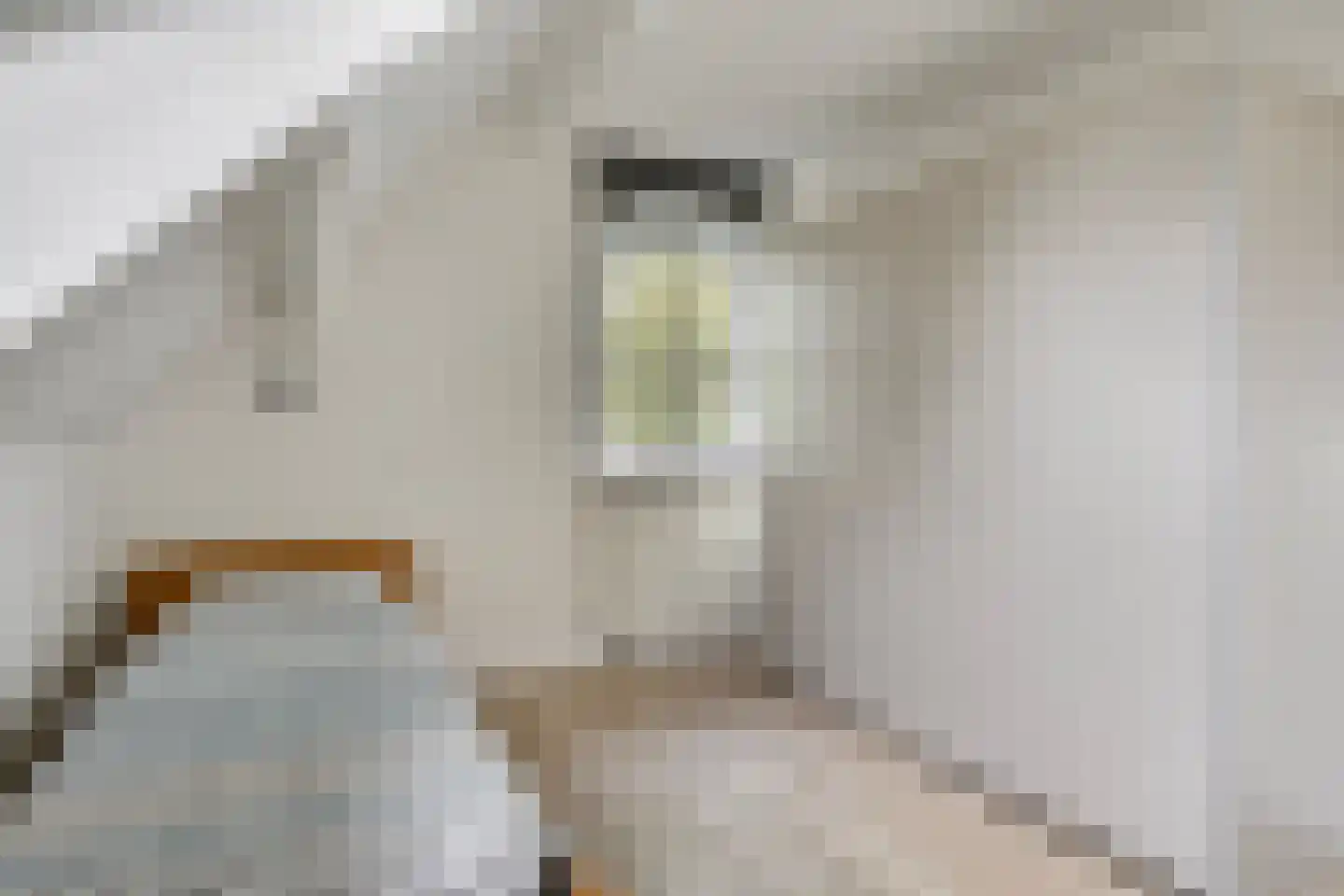 Stelvenseweg 15 A Made thumbnail 43