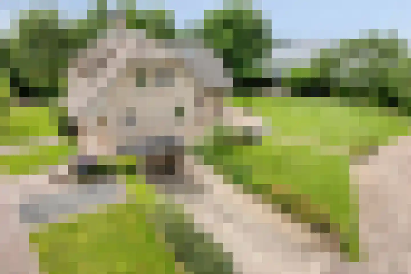 Stelvenseweg 15 A Made thumbnail 6
