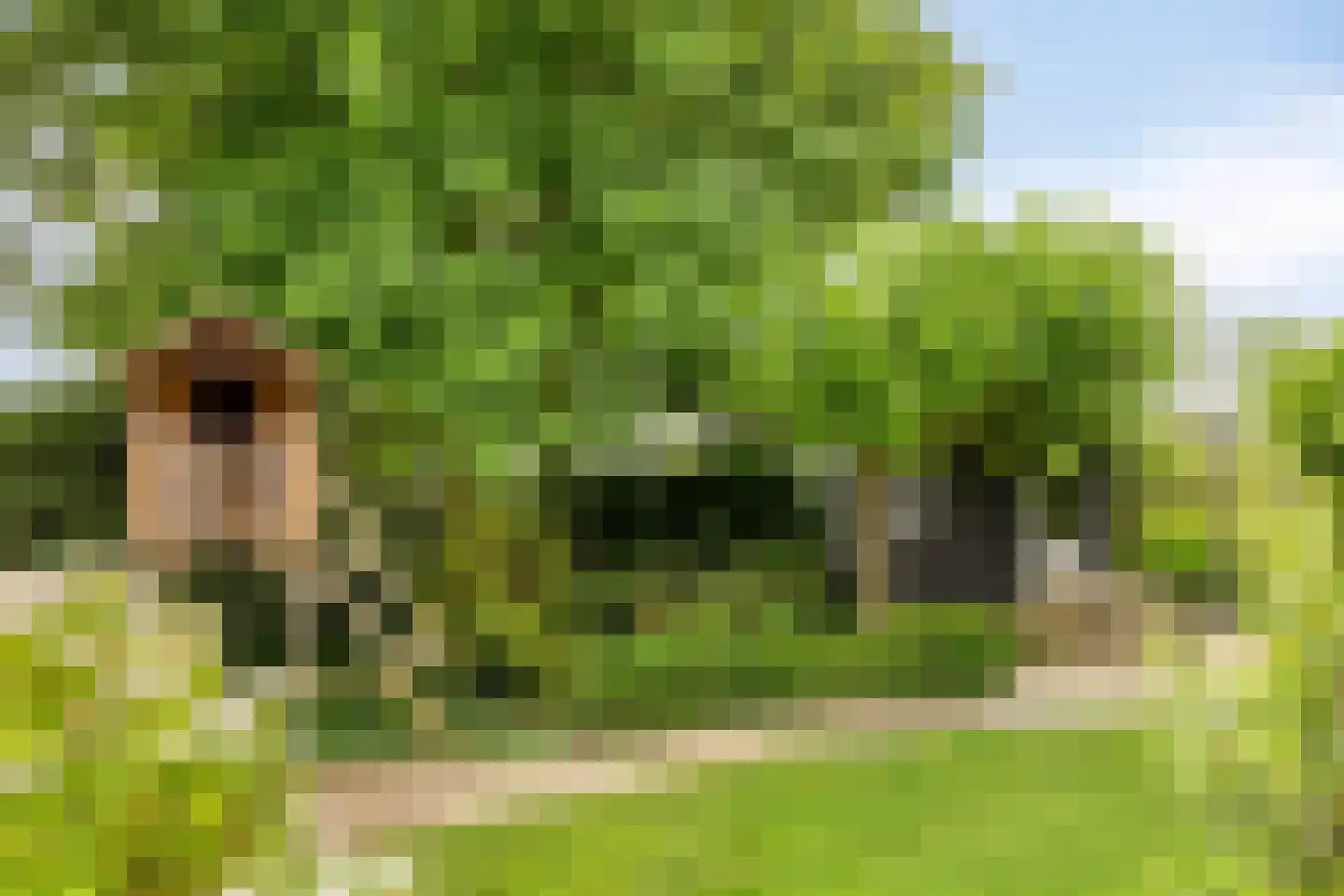 Stelvenseweg 15 A Made thumbnail 62