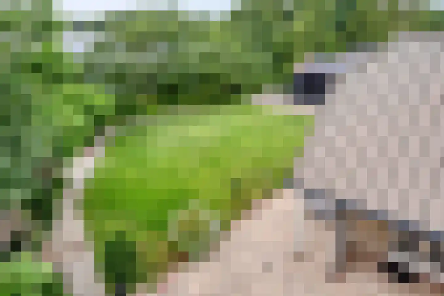 Stelvenseweg 15 A Made thumbnail 66