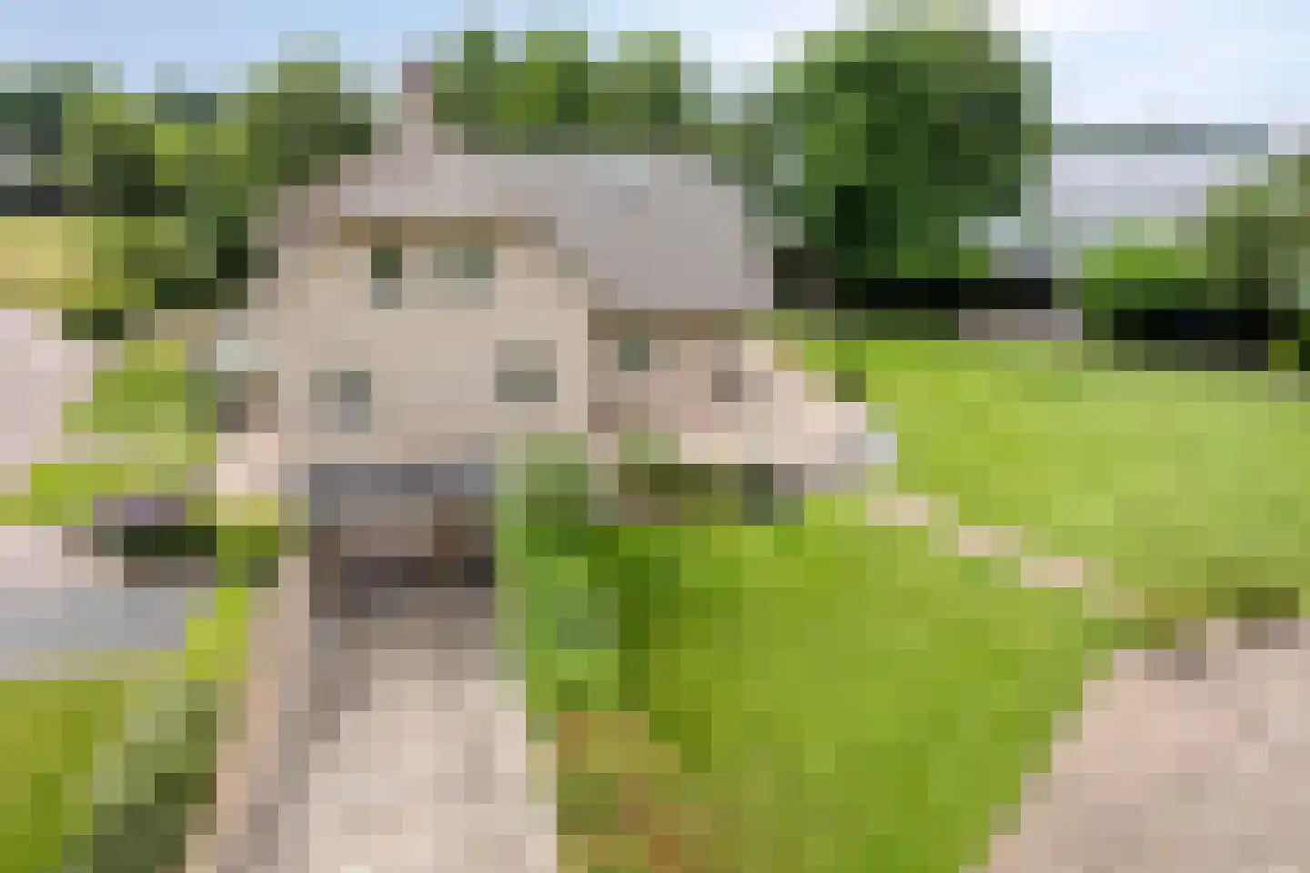 Stelvenseweg 15 A Made thumbnail 68