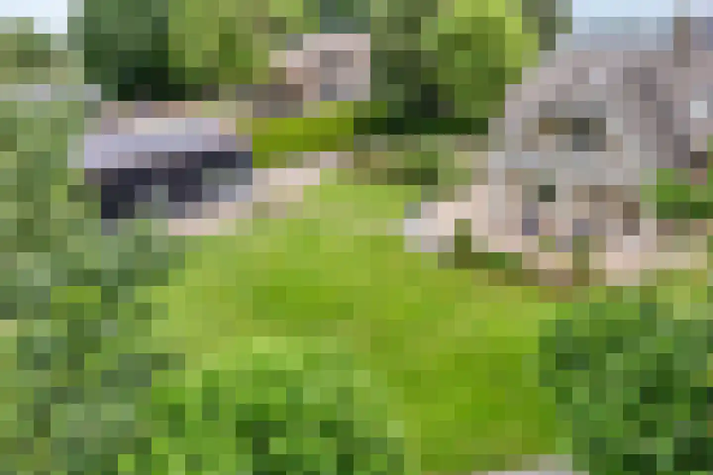 Stelvenseweg 15 A Made thumbnail 69