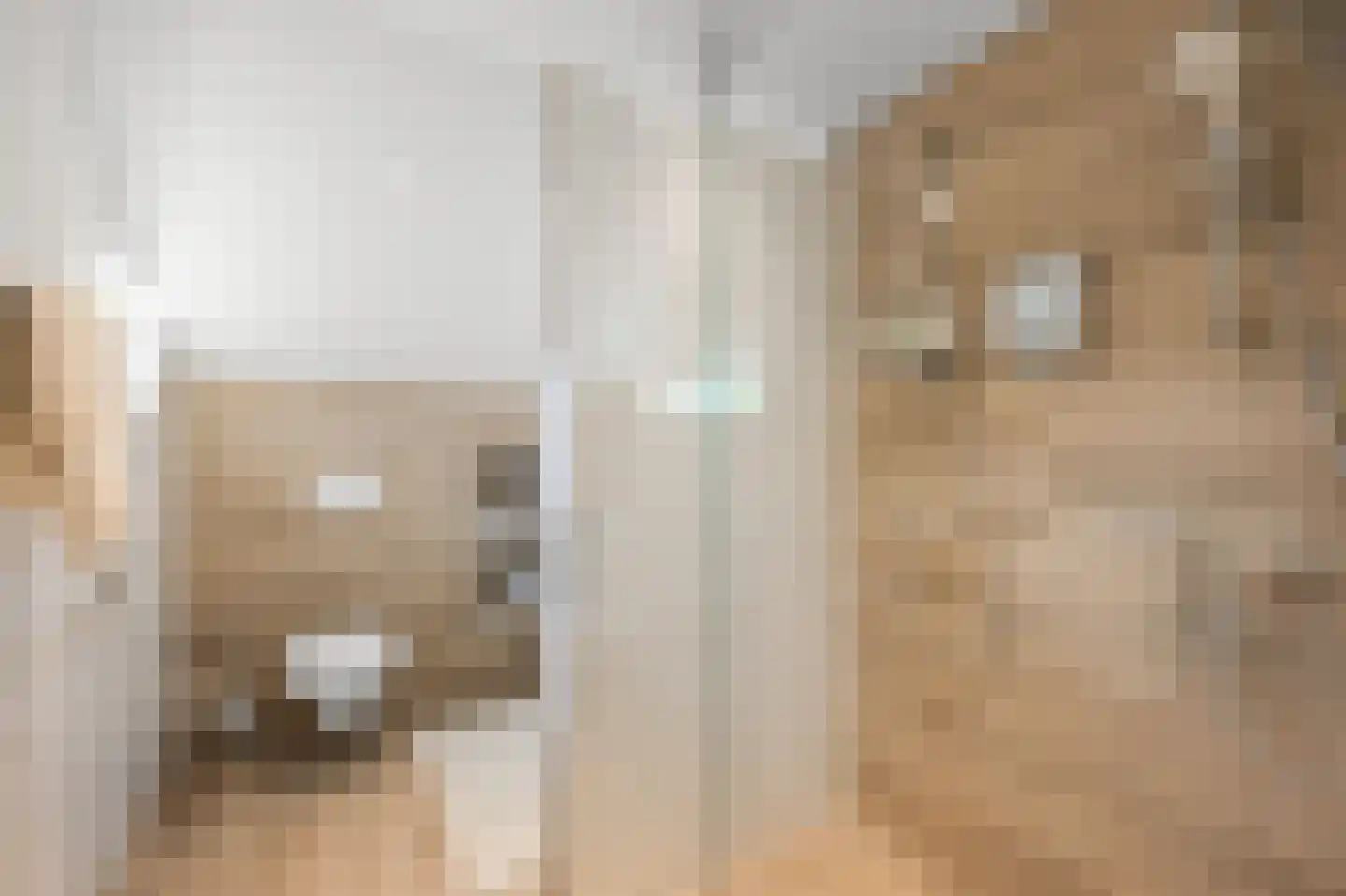 Stempelmakerstraat 23 Alkmaar thumbnail 20