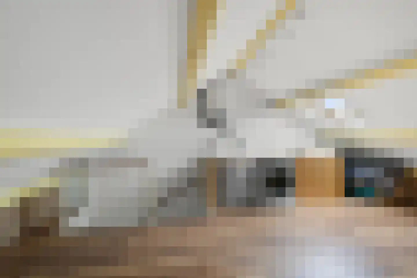 Stempelmakerstraat 23 Alkmaar thumbnail 28