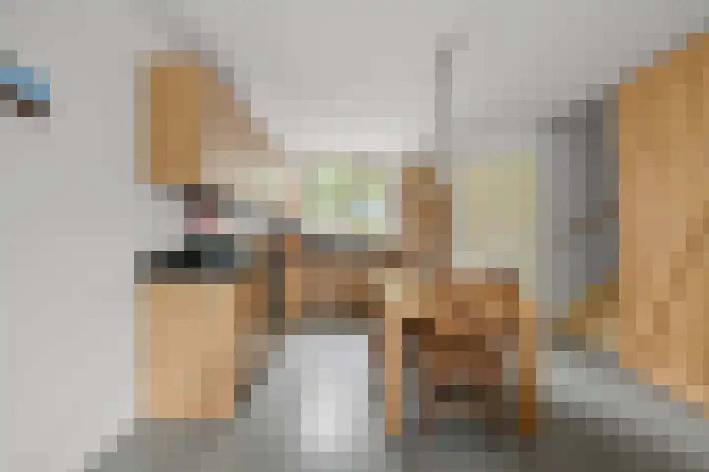 Stempelmakerstraat 23 Alkmaar thumbnail 5
