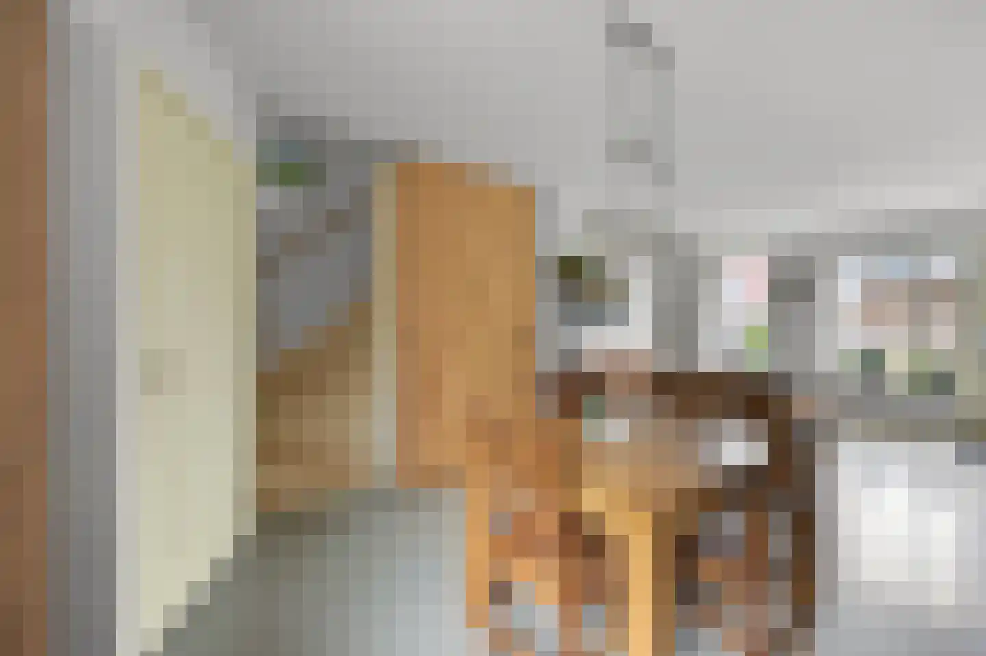 Stempelmakerstraat 23 Alkmaar thumbnail 9