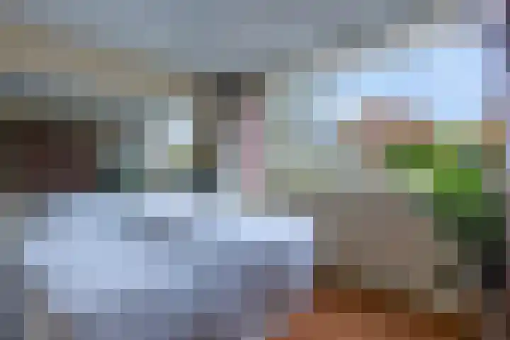 Stenderland 10 Amerongen thumbnail 12