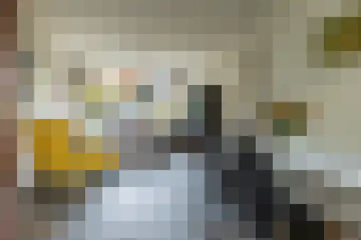 Stenderland 10 Amerongen thumbnail 9