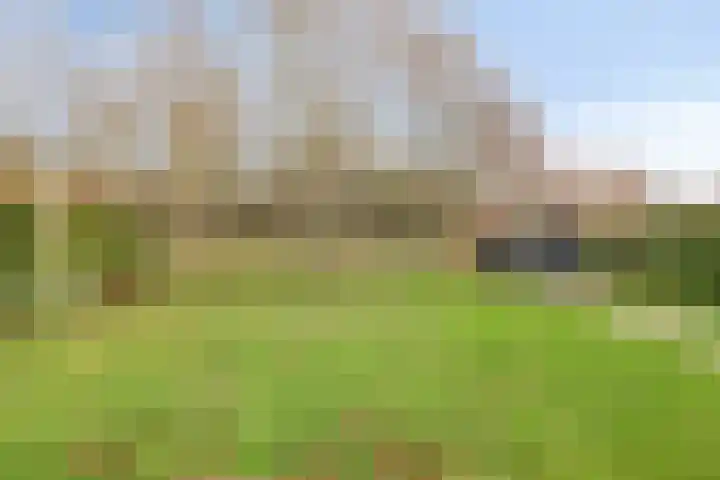 Stendermolen 13 A de Lutte thumbnail 25