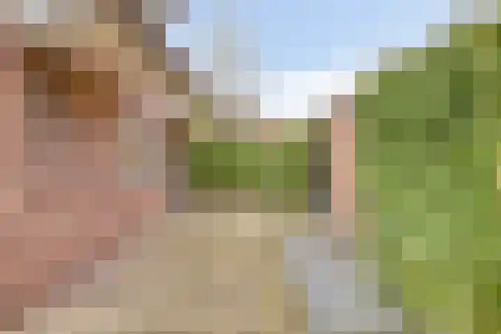 Stendermolen 13 A de Lutte thumbnail 27