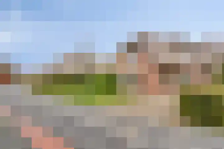 Stendermolen 13 A de Lutte thumbnail 32