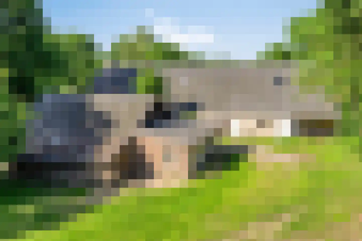 Stendert 3 Meerlo thumbnail 10