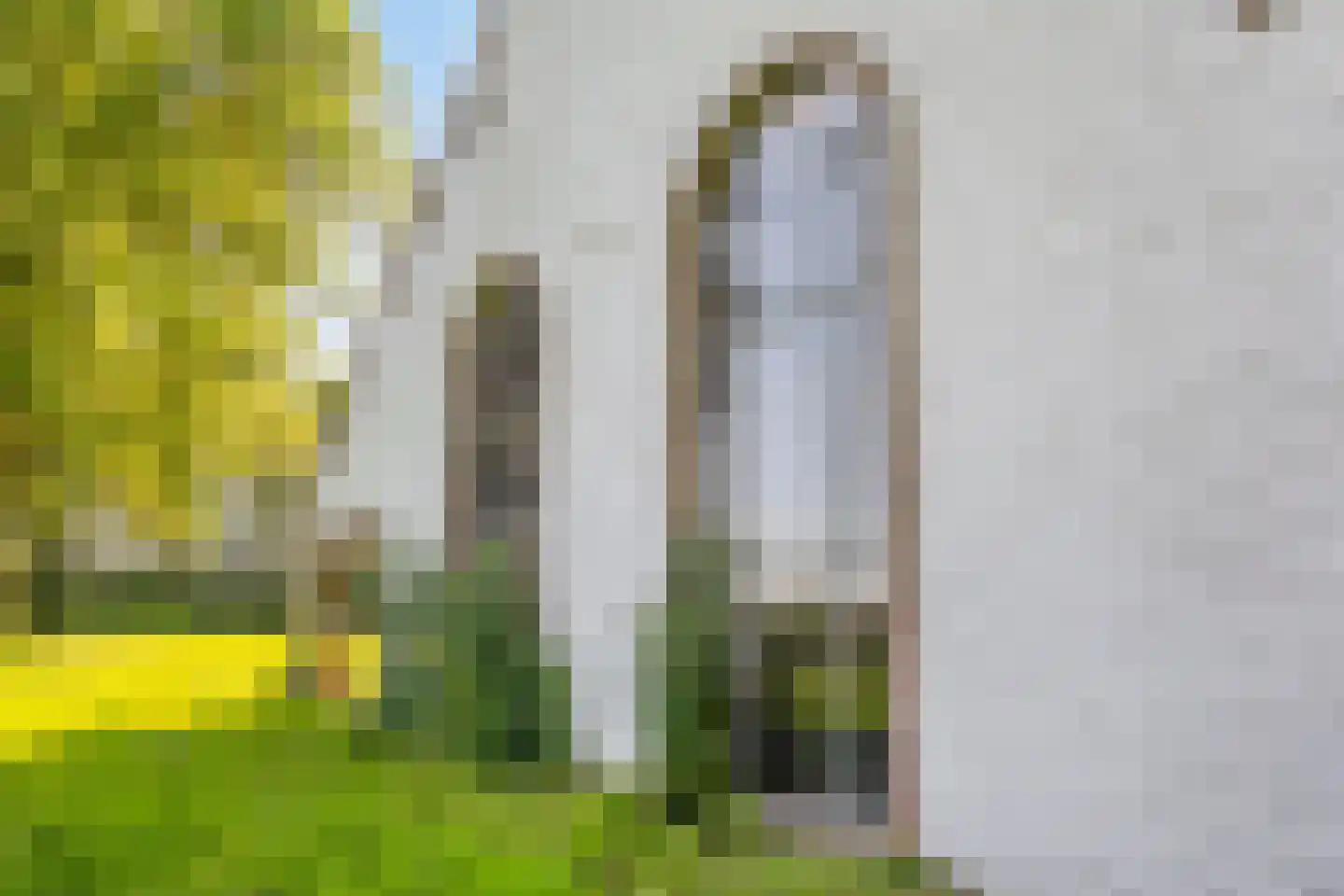 Stendert 3 Meerlo thumbnail 11