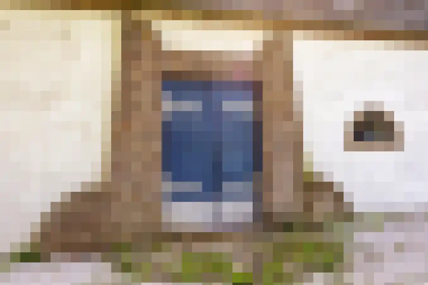 Stendert 3 Meerlo thumbnail 13