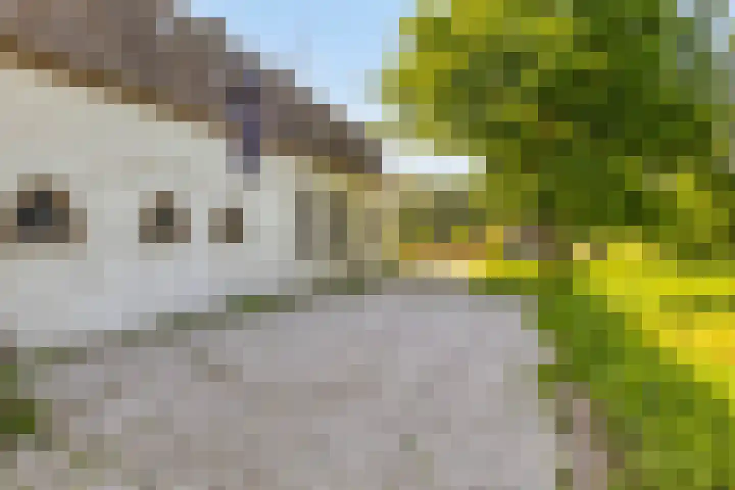 Stendert 3 Meerlo thumbnail 14