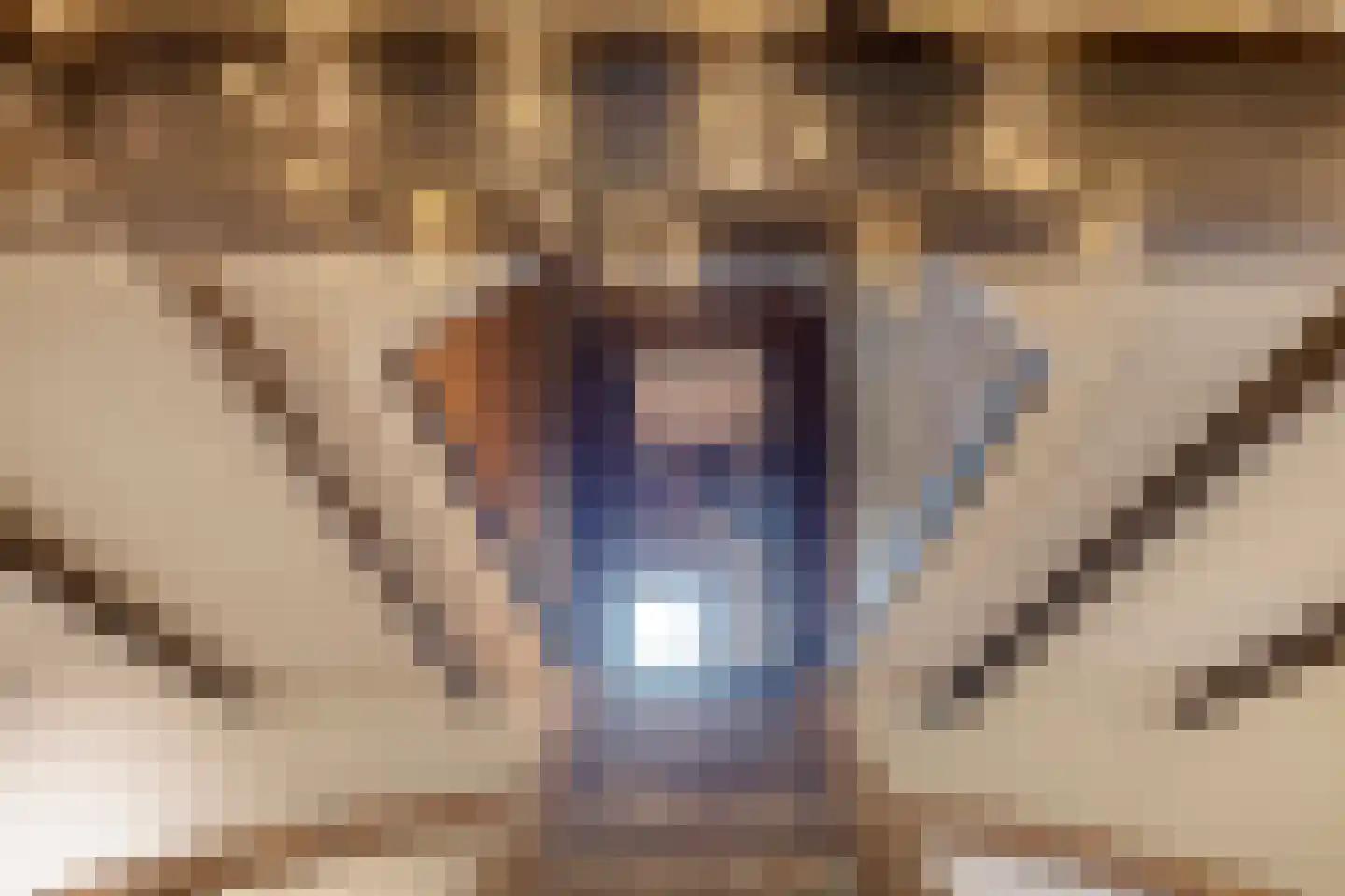 Stendert 3 Meerlo thumbnail 27
