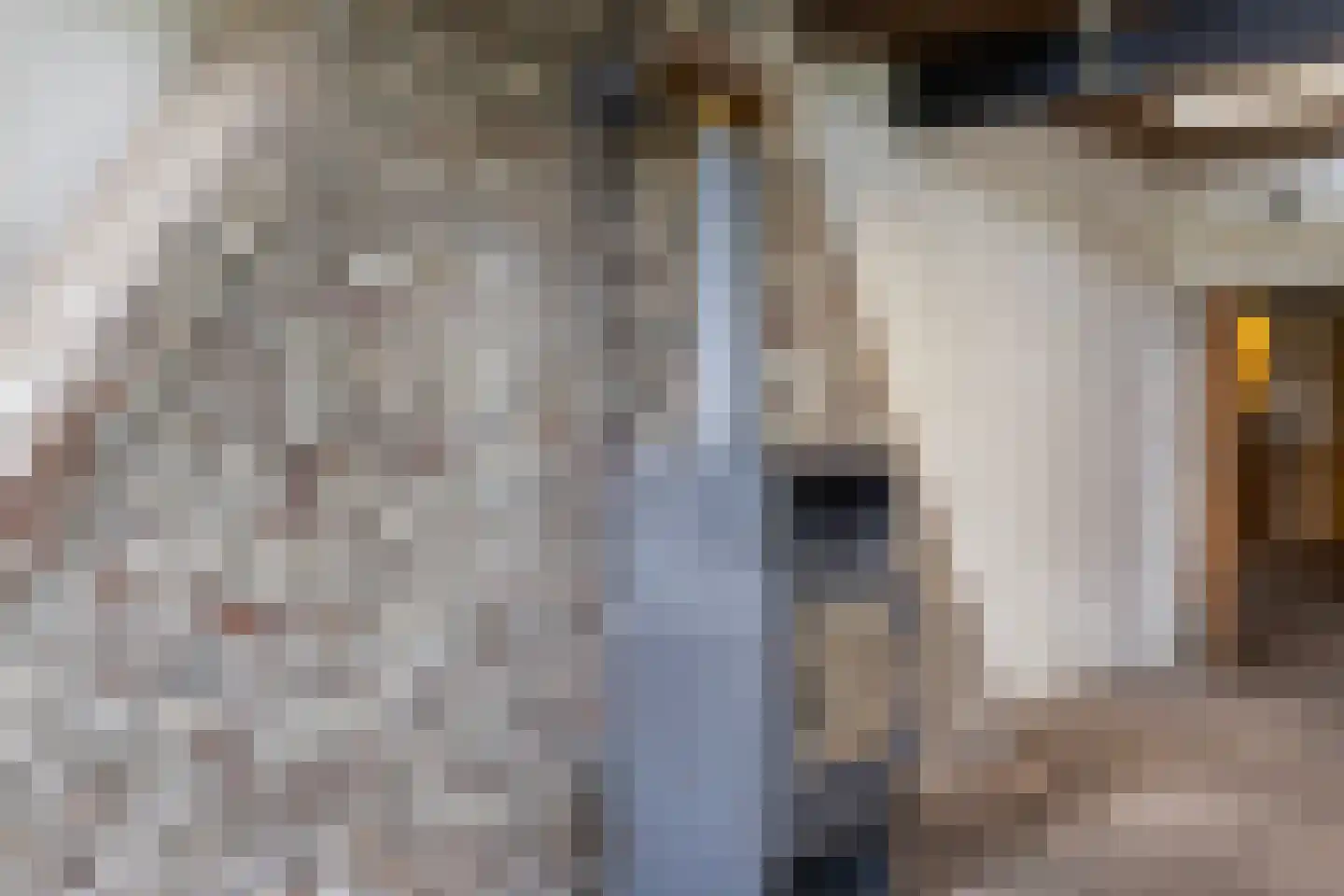 Stendert 3 Meerlo thumbnail 37