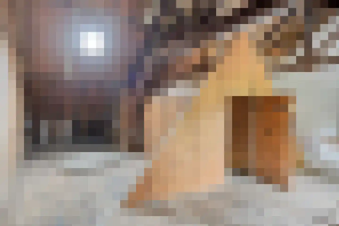 Stendert 3 Meerlo thumbnail 39