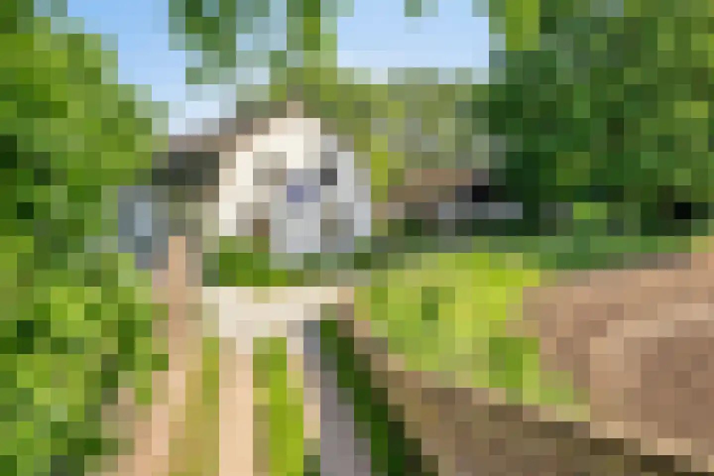 Stendert 3 Meerlo thumbnail 4