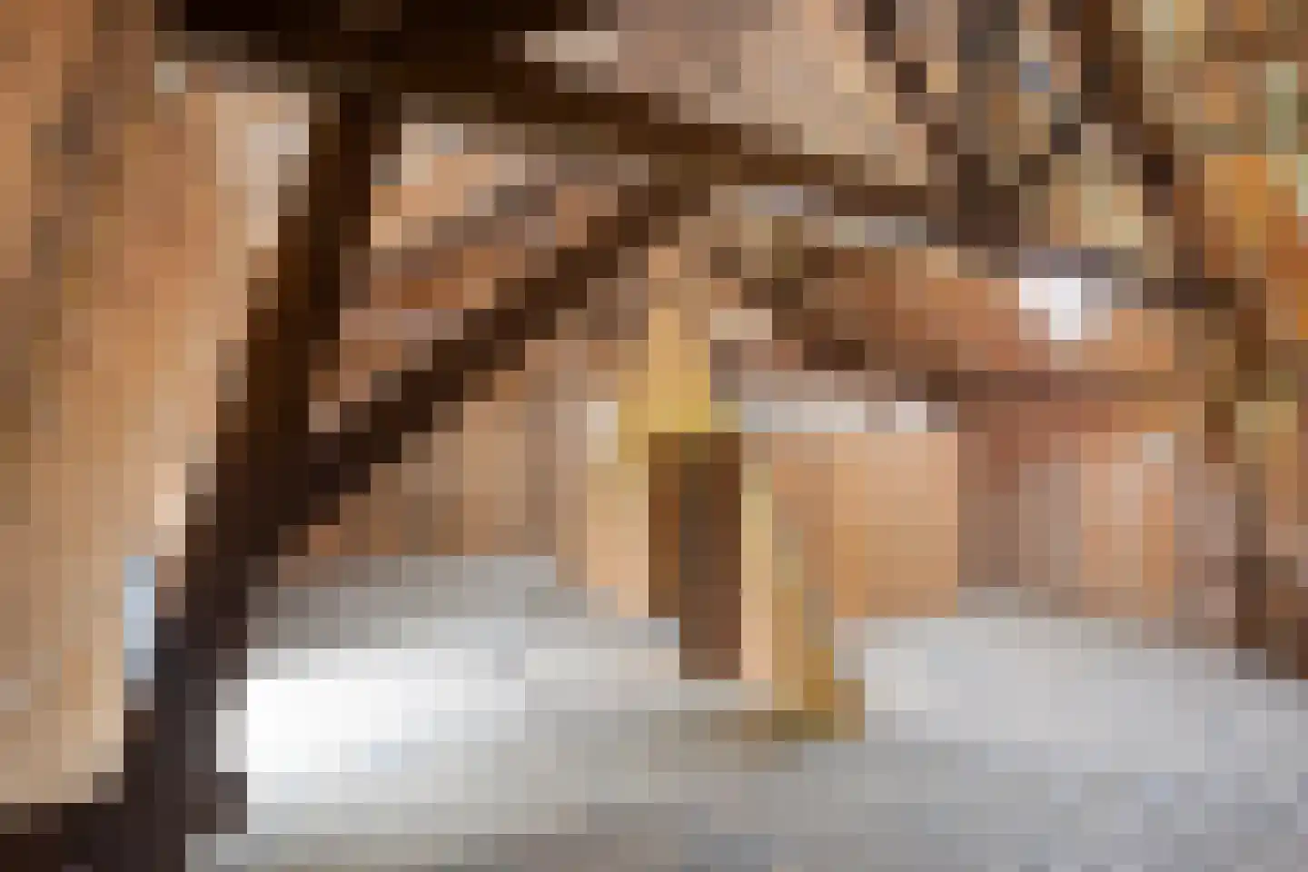 Stendert 3 Meerlo thumbnail 41