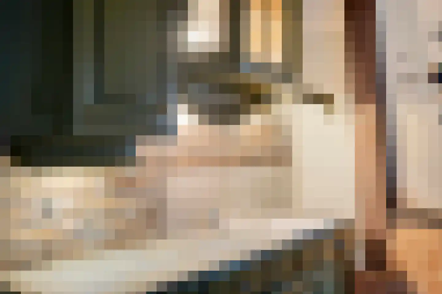 Stendert 3 Meerlo thumbnail 44