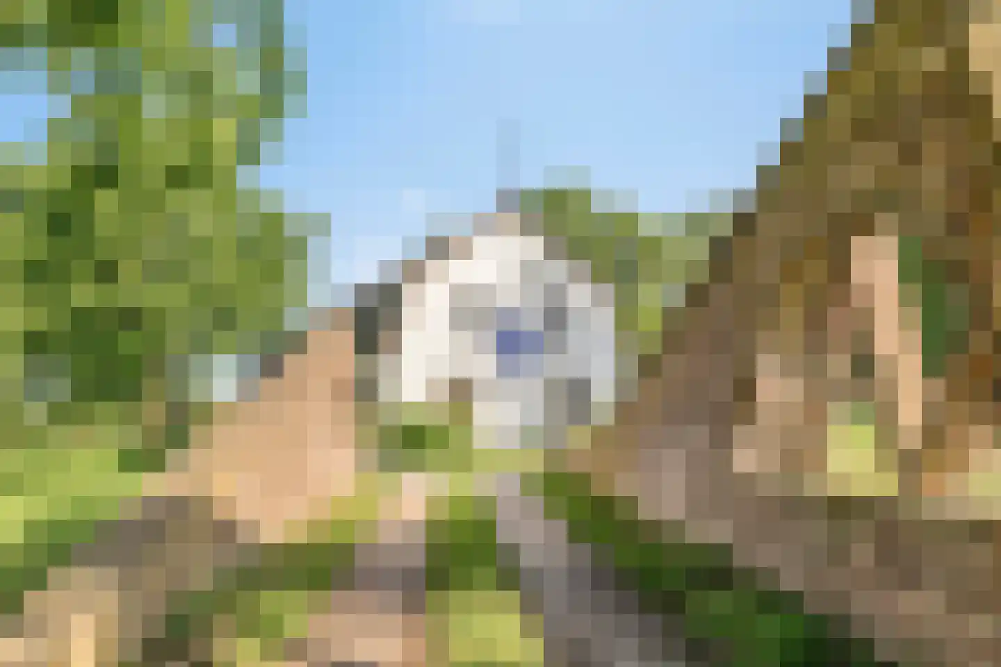 Stendert 3 Meerlo thumbnail 5