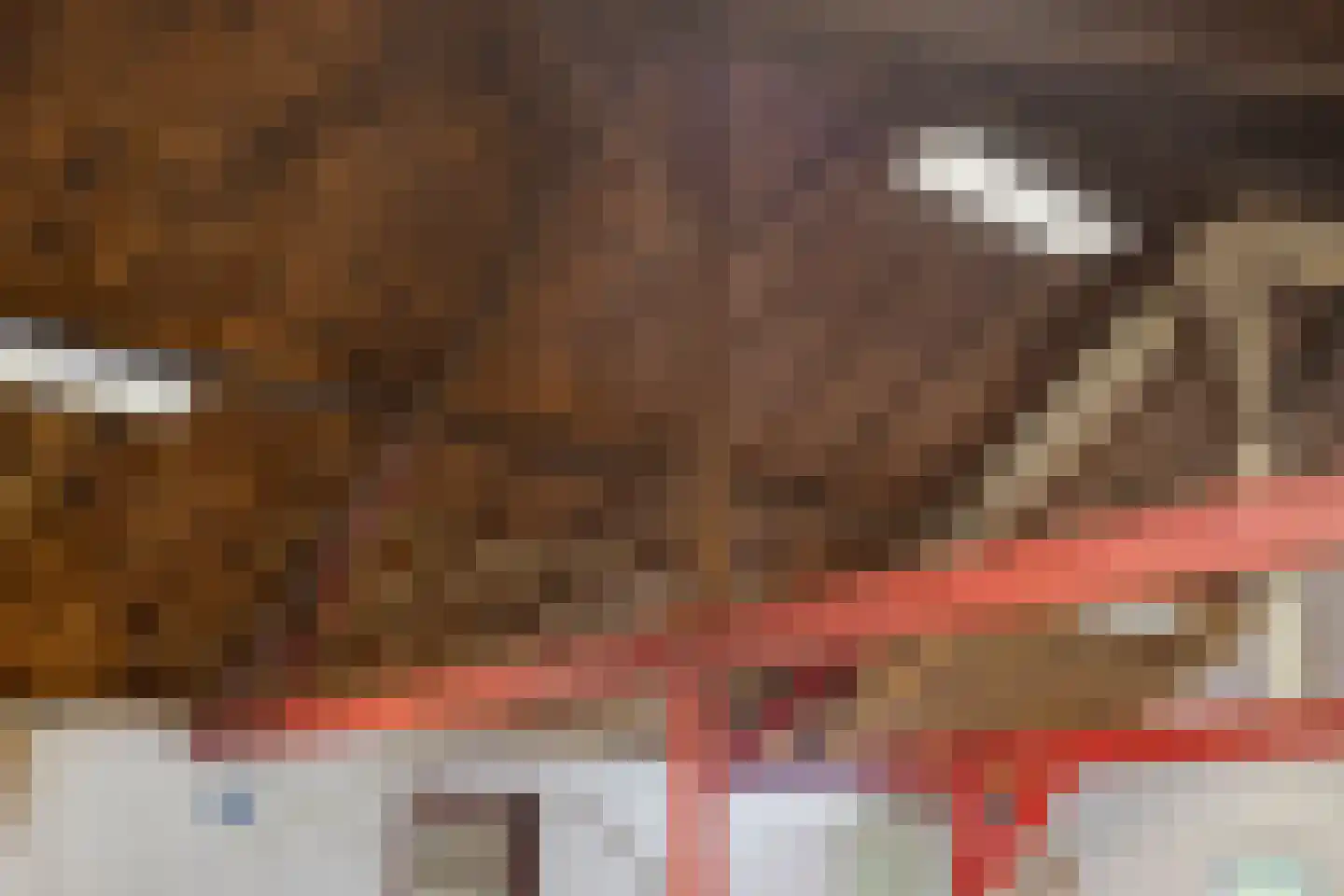 Stendert 3 Meerlo thumbnail 52