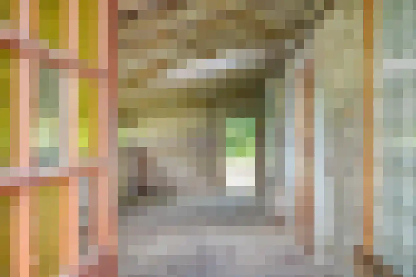 Stendert 3 Meerlo thumbnail 55