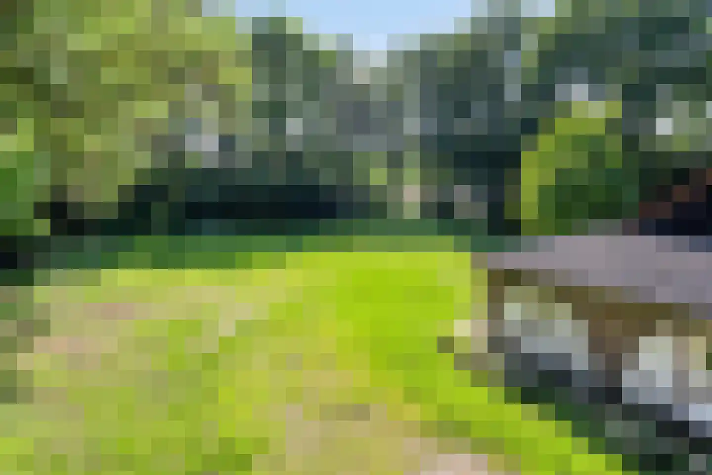 Stendert 3 Meerlo thumbnail 58