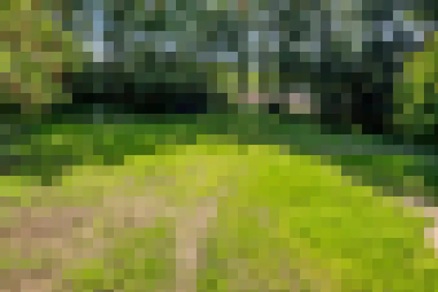 Stendert 3 Meerlo thumbnail 59