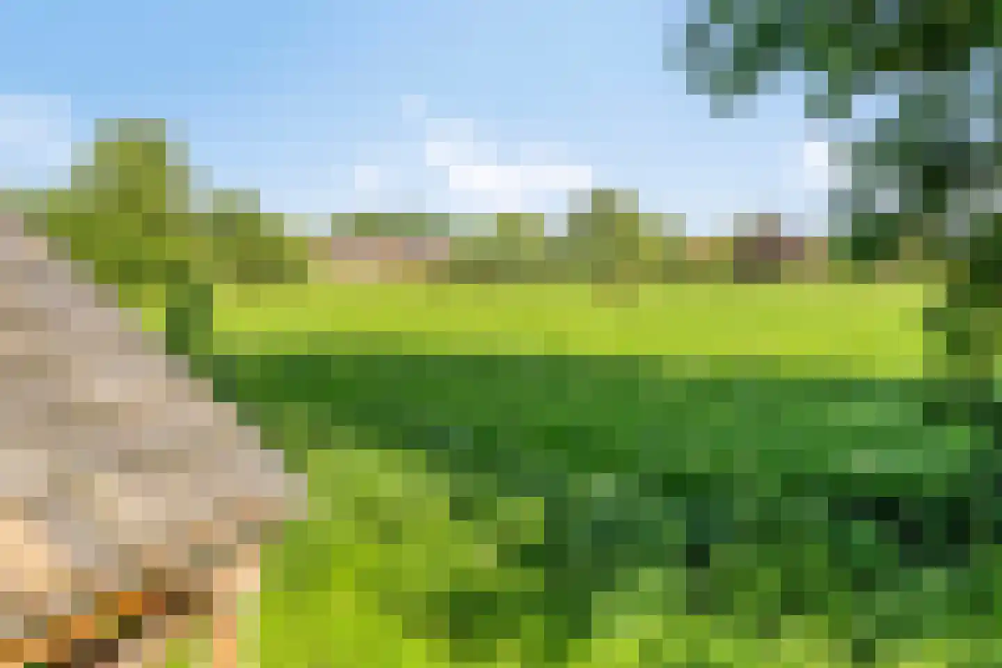 Stendert 3 Meerlo thumbnail 61