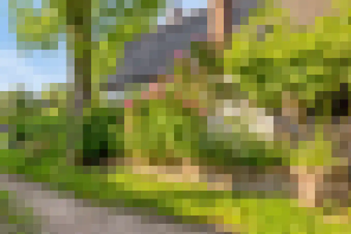 Stendert 3 Meerlo thumbnail 63