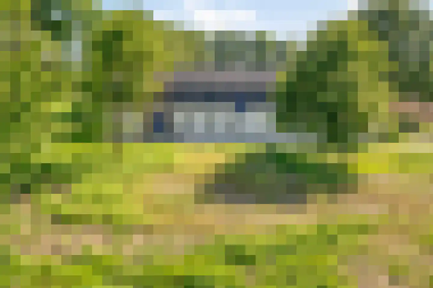 Stendert 3 Meerlo thumbnail 64