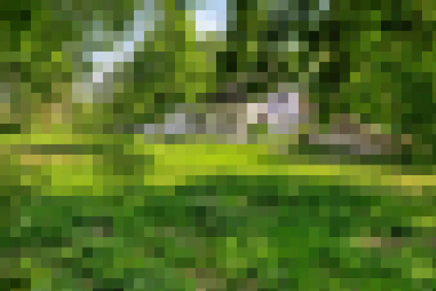 Stendert 3 Meerlo thumbnail 65