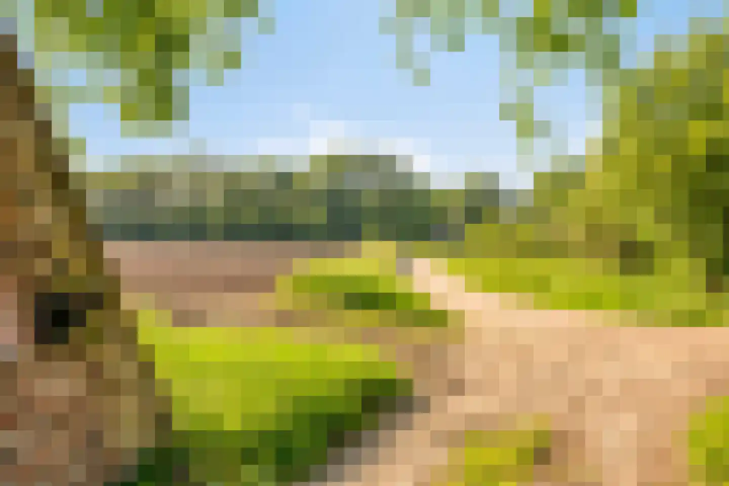 Stendert 3 Meerlo thumbnail 66