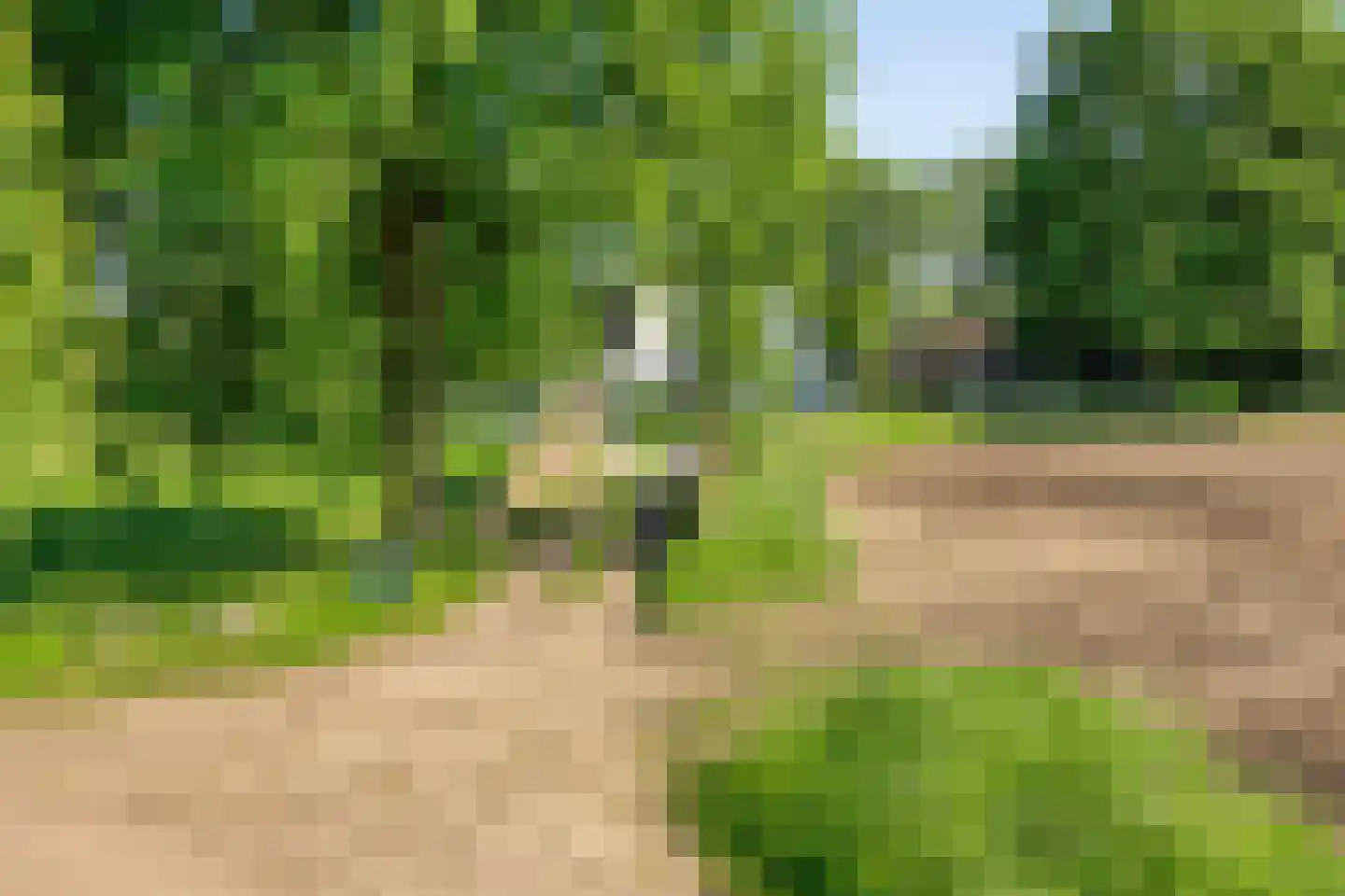 Stendert 3 Meerlo thumbnail 67